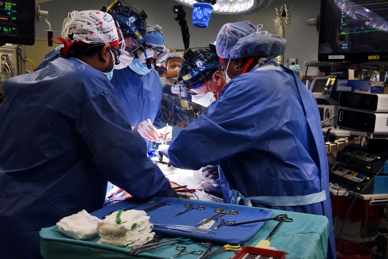 Fakultas Kedokteran Universitas Maryland menunjukkan jantung babi untuk ditransplantasikan ke pasien David Bennett di Baltimore pada Jumat, (7/1/2022). (Mark Teske/University of Maryland School of Medicine via AP) Fakultas Kedokteran Universitas Maryland menunjukkan jantung babi untuk ditransplantasikan ke pasien David Bennett di Baltimore pada Jumat, (7/1/2022). (Mark Teske/University of Maryland School of Medicine via AP)