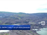 Pengusaha Bingung, Kebijakan Cabut IUP Tambang Tumpang Tindih