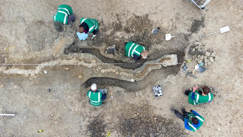 Penemuan fosil naga di East Midlands, Inggris. (ANGLIAN WATER via REUTERS/ANGLIAN WATER)
