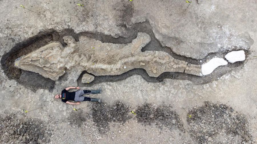 Penemuan fosil naga di East Midlands, Inggris. (ANGLIAN WATER via REUTERS/ANGLIAN WATER)