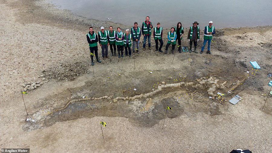 Penemuan fosil naga di East Midlands, Inggris. (ANGLIAN WATER via REUTERS/ANGLIAN WATER)