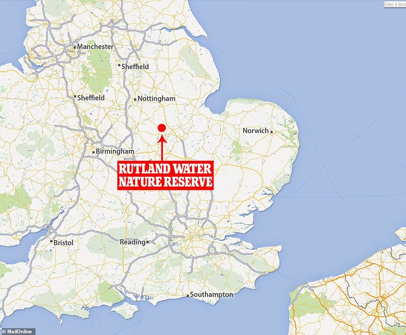 Penemuan fosil naga di East Midlands, Inggris. (Tangkapan layar Twitter @OneMoreTime)
