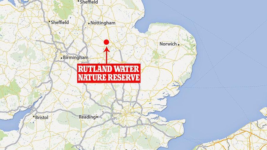 Penemuan fosil naga di East Midlands, Inggris. (ANGLIAN WATER via REUTERS/ANGLIAN WATER)