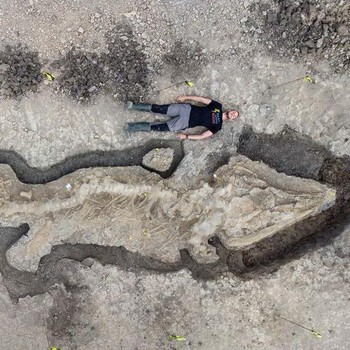 Potret Fosil 'Naga Laut' 180 Juta Tahun Ditemukan di Inggris