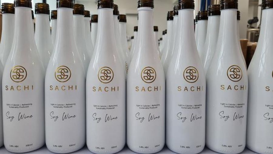 Sachi (Tangkapan layar Sachi)