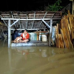 BNPB Ungkap Fenoma Banjir di Tanah Air, Kenapa?