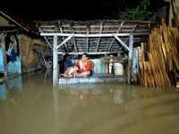BNPB Ungkap Fenoma Banjir di Tanah Air, Kenapa?
