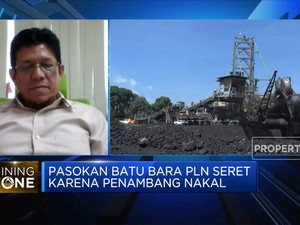 Agar Pasokan Lancar, Pengadaan Batu Bara PLN Harus Transparan