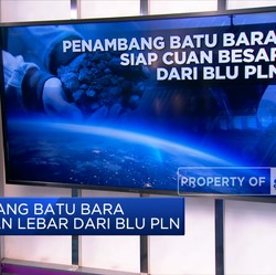 Penambang Batu Bara Siap Cuan Besar Dari BLU PLN