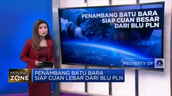 Penambang Batu Bara Siap Cuan Besar Dari BLU PLN