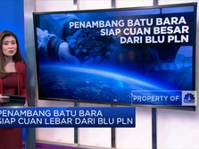 Penambang Batu Bara Siap Cuan Besar Dari BLU PLN