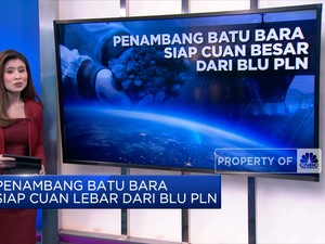 Penambang Batu Bara Siap Cuan Besar Dari BLU PLN