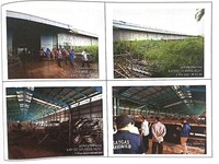 Puluhan Ribu Bidang Tanah Pemerintah Dikuasai Pihak Ketiga