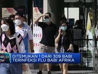 Thailand Deteksi Kasus Flu Babi Afrika Pertama
