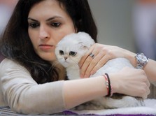 Lagi Viral, Wanita Kena Ruam di Seluruh Tubuh Tertular Kucing