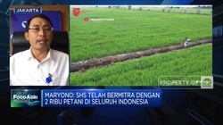 Ambisi BUMN Pangan Genjot Produksi Beras Lewat Bibit Hibrida