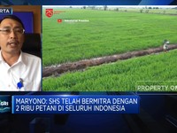 Ambisi BUMN Pangan Genjot Produksi Beras Lewat Bibit Hibrida