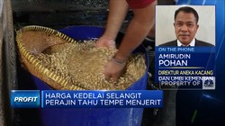 Genjot Kedelai Lokal, Kementan Siapkan Varietas Unggulan