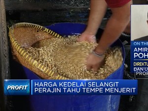 Genjot Kedelai Lokal, Kementan Siapkan Varietas Unggulan