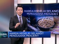 Harga Kedelai Selangit Pengusaha Menjerit