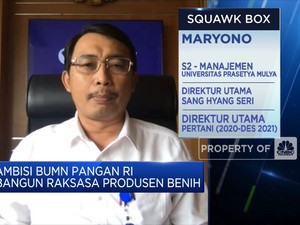 Pertani & SHS Melebur,BUMN Pangan Jadi Raksasa Produsen Benih