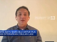 Polemik Batu Bara, Pemerintah Percepat Transisi Energi Hijau
