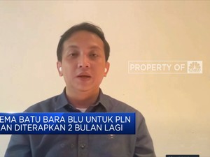 Polemik Batu Bara, Pemerintah Percepat Transisi Energi Hijau