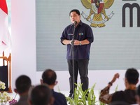 Perhatian! Begini Bentuk Sub Holding PLN Ala Erick Thohir