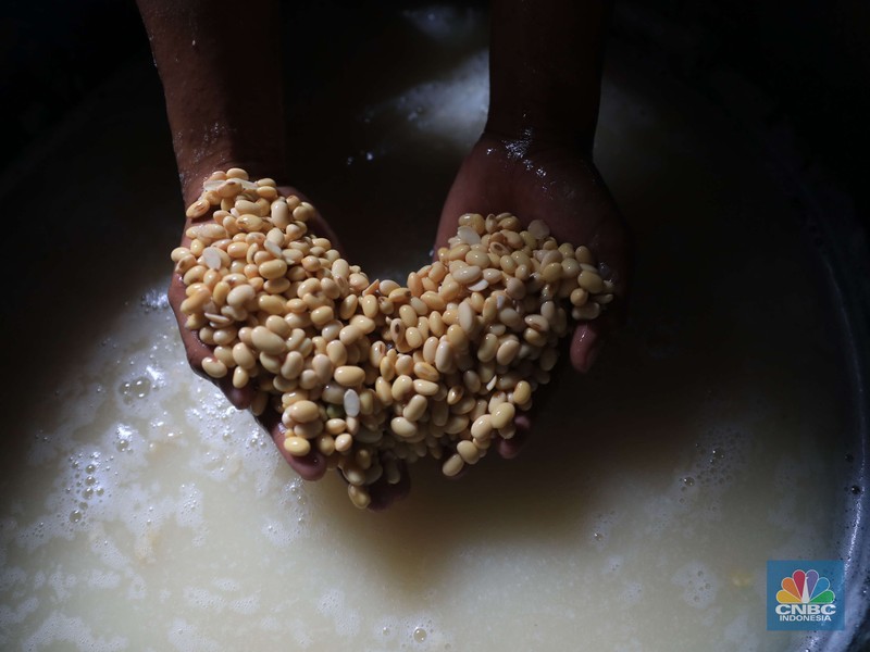 Pabrik tempe di kawasan Sunter, Jakarta (CNBC Indonesia/Muhammad Sabki) Pabrik tempe di kawasan Sunter, Jakarta (CNBC Indonesia/Muhammad Sabki)