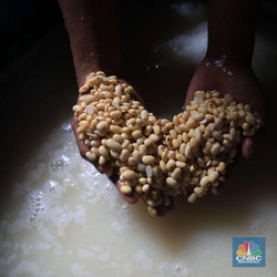 4 Manfaat Tak Terduga Tempe untuk Tumbuh Kembang Anak