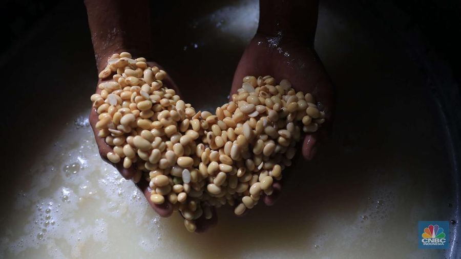 Pabrik tempe di kawasan Sunter, Jakarta (CNBC Indonesia/Muhammad Sabki)