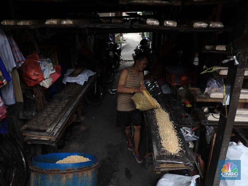 Pabrik tempe di kawasan Sunter, Jakarta (CNBC Indonesia/Muhammad Sabki) Pabrik tempe di kawasan Sunter, Jakarta (CNBC Indonesia/Muhammad Sabki)