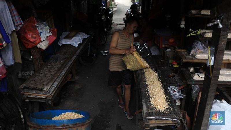 Pabrik tempe di kawasan Sunter, Jakarta (CNBC Indonesia/Muhammad Sabki)