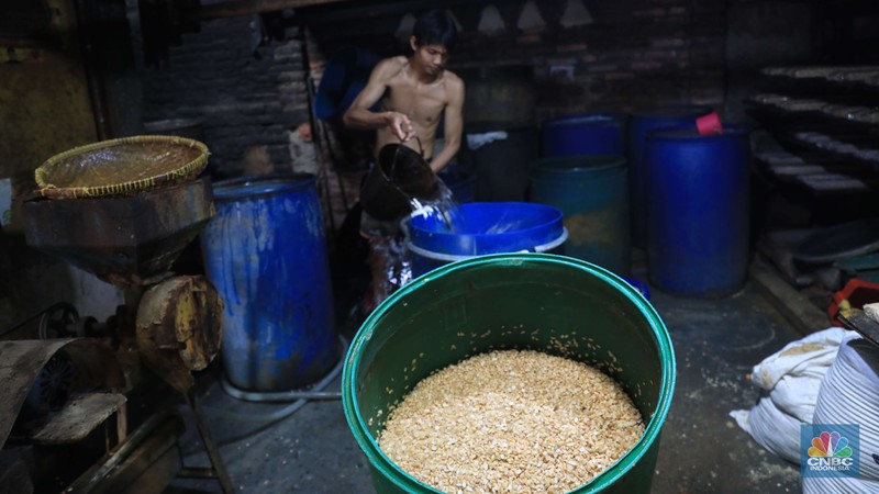 Pabrik tempe di kawasan Sunter, Jakarta (CNBC Indonesia/Muhammad Sabki) Pabrik tempe di kawasan Sunter, Jakarta (CNBC Indonesia/Muhammad Sabki)