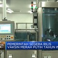 Pemerintah Segera Rilis Vaksin Merah Putih