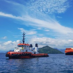 Dihajar Sentimen China & Eropa, Harga Batu Bara Diramal Lesu