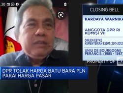 Tegas! Ini Alasan Komisi VII DPR Tolak Skema BLU Batu Bara