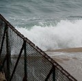 BMKG: Tsunami Tonga Tak Bahaya untuk Indonesia