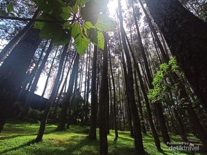 Tak Ada Bandung Zoo, Tahura Djuanda Pun Jadi