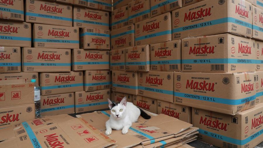 Bazar Minyak Goreng Murah (CNBC Indonesia/Tri Susilo)