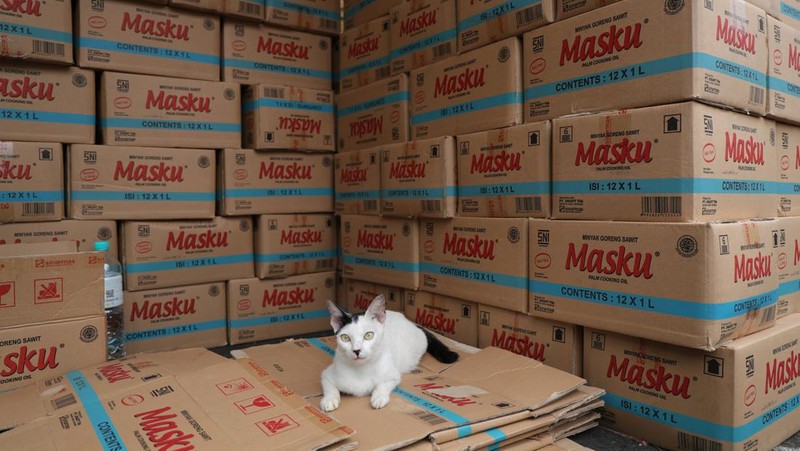 Bazar Minyak Goreng Murah (CNBC Indonesia/Tri Susilo)