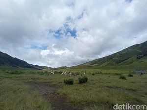 9 Tempat Wisata Menarik Saat Jalan-jalan ke Malang dan Sekitarnya