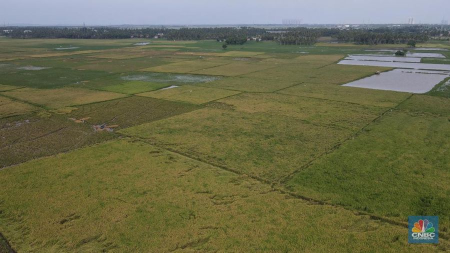 Petani Tangerang (CNBC Indonesia/Andrean Kristianto)