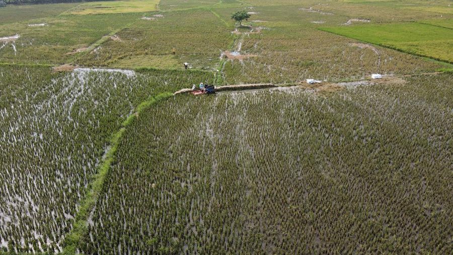 Petani Tangerang (CNBC Indonesia/Andrean Kristianto)