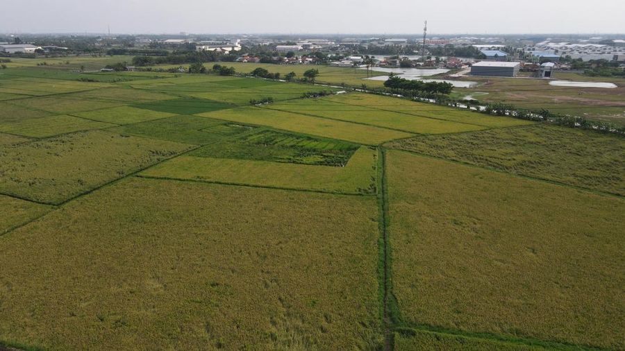 Petani Tangerang (CNBC Indonesia/Andrean Kristianto)