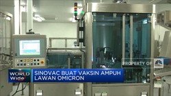 Sinovac Buat Vaksin Yang Ampuh Lawan Omicron