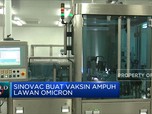Sinovac Buat Vaksin Yang Ampuh Lawan Omicron