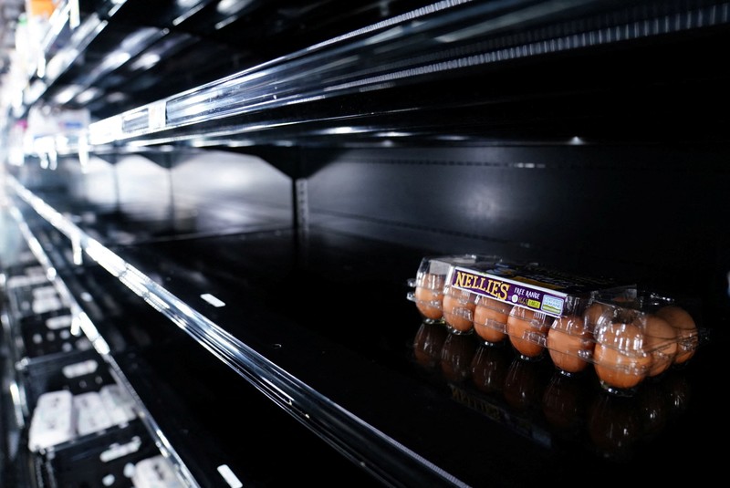 An egg display case is seen nearly empty at a Giant Food grocery store as the U.S. continues to experience supply chain disruptions in Washington, U.S., January 9, 2022. REUTERS/Sarah Silbiger