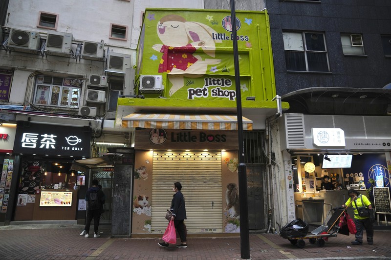 Virus Outbreak Hong Kong A staffer from the Agriculture, Fisheries and Conservation Department walks past a pet shop which was closed after some pet hamsters were, authorities said, tested positive for the coronavirus, in Hong Kong, Tuesday, Jan. 18, 2022. Hong Kong authorities said Tuesday that they will cull some 2,000 hamsters after several of the rodents tested positive for delta variant at the pet store where an infected employee was working. (AP Photo/Kin Cheung)