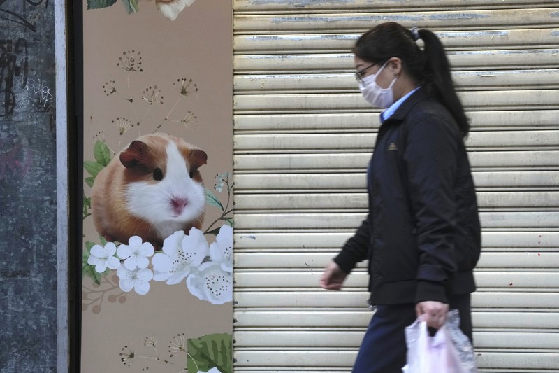 A staffer from the Agriculture, Fisheries and Conservation Department walks past a pet shop which was closed after some pet hamsters were, authorities said, tested positive for the coronavirus, in Hong Kong, Tuesday, Jan. 18, 2022. Hong Kong authorities said Tuesday that they will cull some 2,000 hamsters after several of the rodents tested positive for delta variant at the pet store where an infected employee was working. (AP Photo/Kin Cheung)